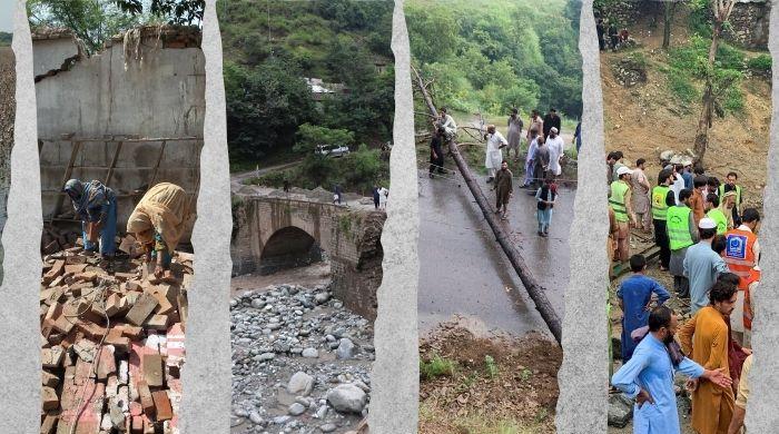 Deluge debate: Rogue monsoons, wayward designs, or nature's wrath?