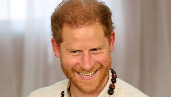 Prince Harry mocked security is for service not celebrity amid stalker row