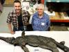 New species of Jurassic ‘sword dragon' found in UK