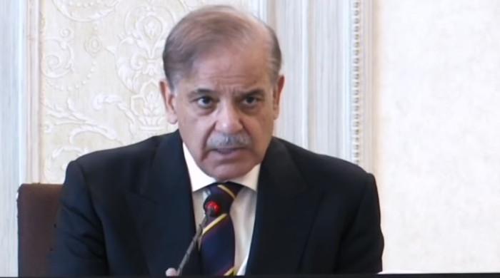 Pakistan cannot bear Afghan refugee burden any longer, says PM amid border tensions
