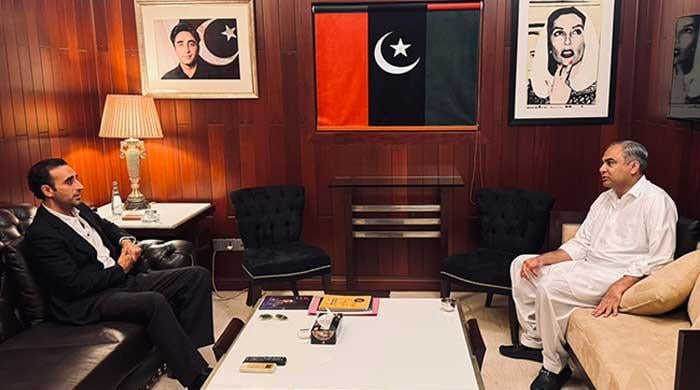 Naqvi, Bilawal call for unity among political parties for Pakistan's stability