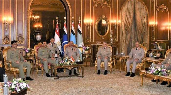 Pakistan, Egypt to contribute towards regional peace, says Field Marshal Munir 
