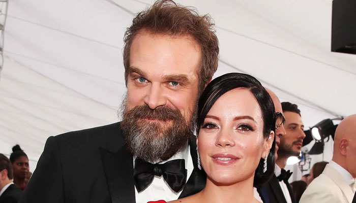 Woman who had affair with married David Harbour named
