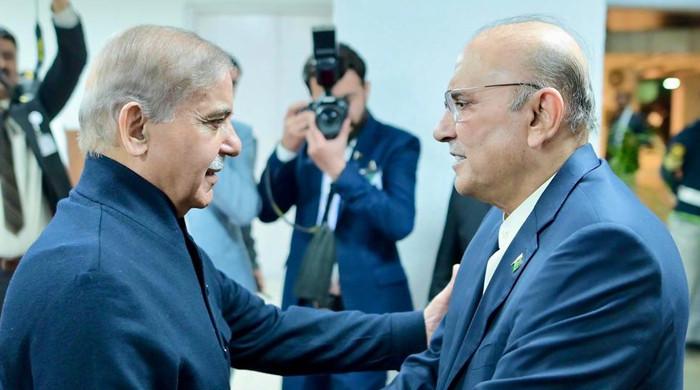 President Zardari, PM Shehbaz 'discuss AJK govt formation'