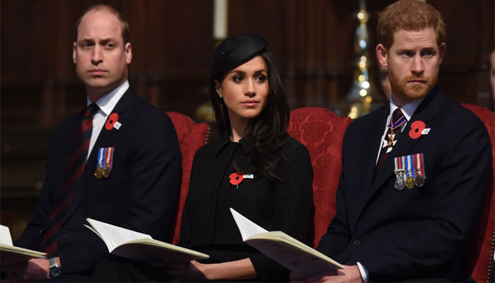 Prince William seized control of royal family: Harry, Meghan titles under scrutiny