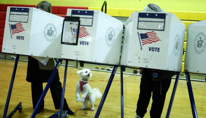 A dog waits as people take part in early voting at a polling centre in the Manhattan borough of New York during early voting for the upcoming mayoral election, on October 27, 2025. — AFP
