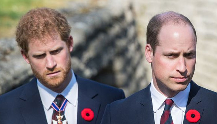Prince Harry olive branch to Prince William has deeper meaning