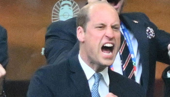 Prince Harry olive branch to Prince William has deeper meaning