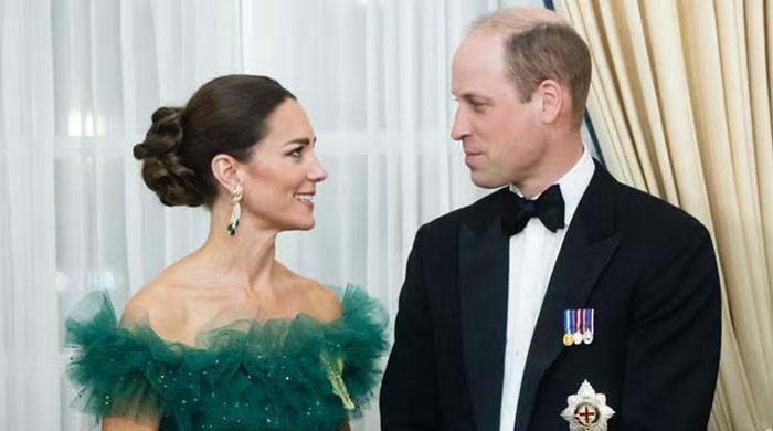 Prince, Princess of Wales release Remembrance Day poem ‘Letters From a Battlefield'