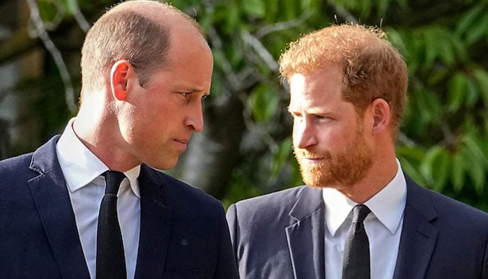 Prince William right about Harry after nuclear option against Andrew