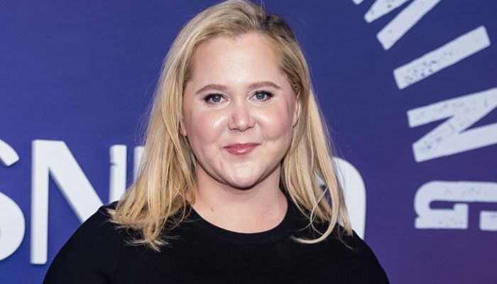 Amy Schumer hits back at critics after wiping her social media posts