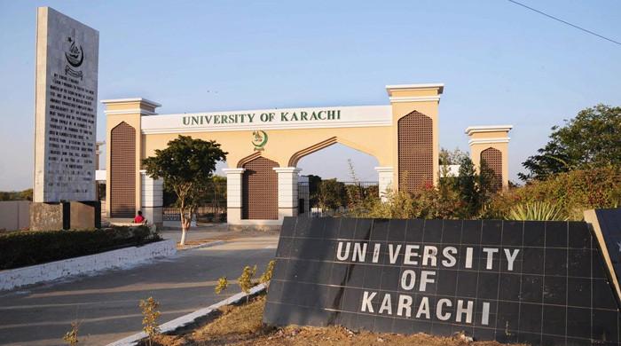 Two children mauled by stray dogs in Karachi University