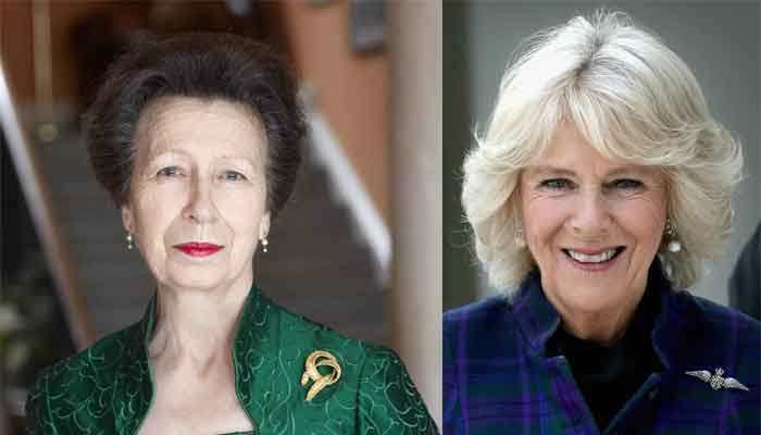 Princess Anne put Buckingham Palace on alert with her romance with Camillas ex husband