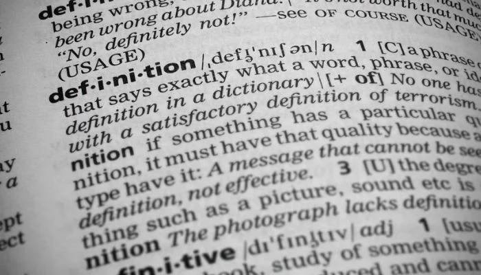A representational image of a dictionary.—AFP/File