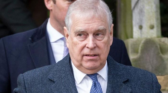 Andrew was main target in Jeffrey Epstein attacks, claims email 