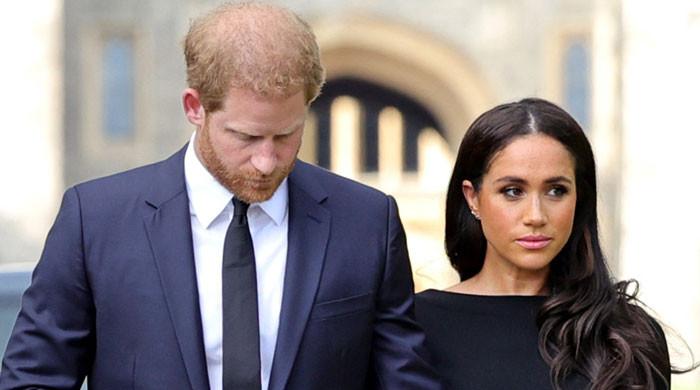 Prince Harry is not ‘brightest bulb' when it comes to Meghan Markle