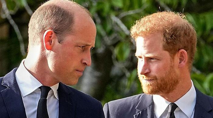 Prince Harry hurt as Prince William advice ‘landed badly'