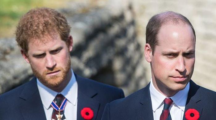 Prince William always ‘kept an eye out' for Prince Harry, says expert 