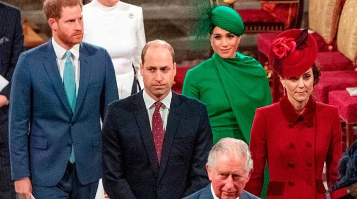 Prince Harry, Meghan blame royal family for Kris Jenner birthday photo drama