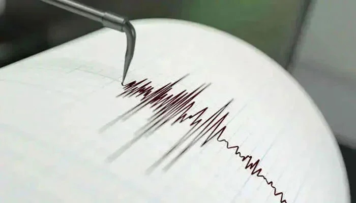 The representational image of a Richter scale measuring an earthquake. — Unsplash/File
