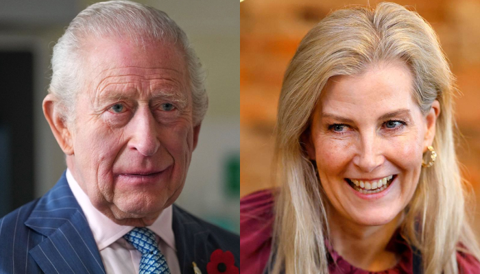 Buckingham Palace unveils King Charles encouraging words as Sophie fulfils task