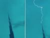 WATCH: Lightning strikes Burj Khalifa as heavy rains lash parts of UAE