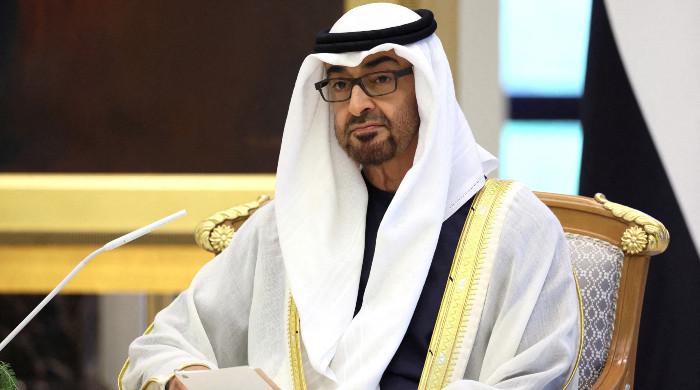 Will Sheikh Al Nahyan invest in Pakistan?
