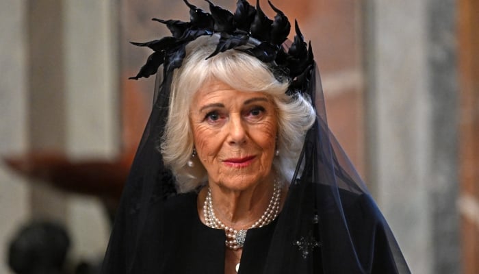 Buckingham Palace releases Queen Camilla emotional video on New Years Eve