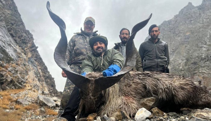 Foreign hunter (centre) along with locals pictured with hunted Kashmiri Markhor. — Reporter