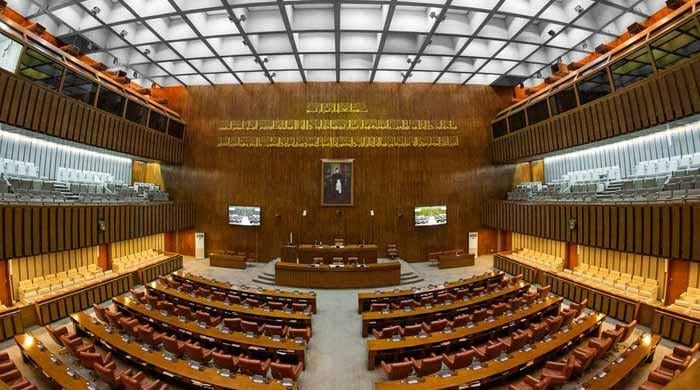 High-level Senate delegation to visit US on Jan 20