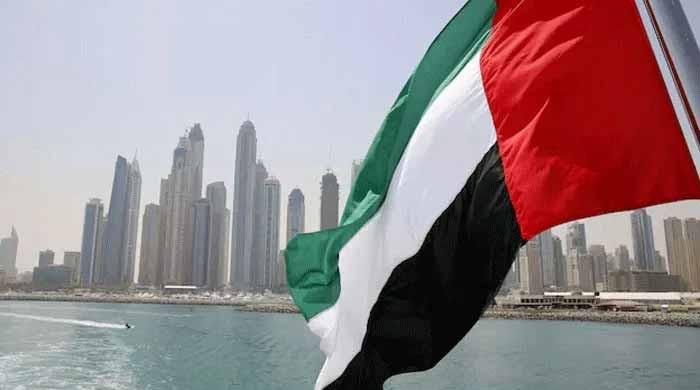 UAE civil law reform ends guardian control at 18
