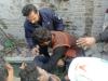 Bride, groom among eight killed in cylinder blast at wedding house in Islamabad
