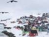  Trump announces 10% tariffs on eight European nations over Greenland