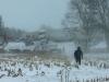 Snowstorm leaves dozens injured in US pile-up