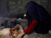 'Content to die': Afghanistan's hunger crisis worsened by winter, aid cuts