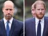 Prince William ‘won't hold back wrath' as Prince Harry ignites new war