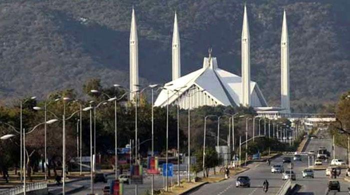 Chainsawed Islamabad