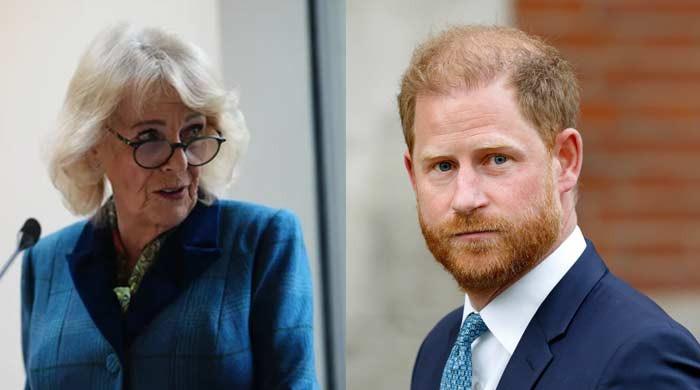 Buckingham Palace honours Queen Camilla after Harry's tearful admission
