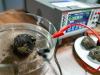 Scientists plan deep-sea expedition to probe 'dark oxygen'