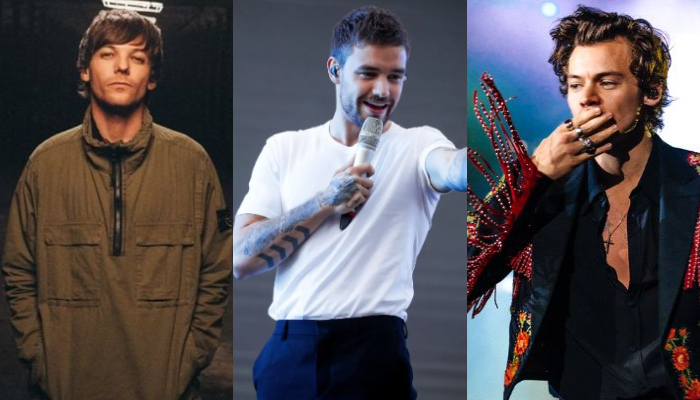 Liam Paynes sister makes fans emotional by commenting on Harry, Louis new work