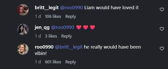 Liam Paynes presence felt as his sister reacts to Harry, Louis new music