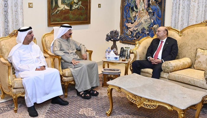 President Asif Ali Zardari meets Sultan Ahmed bin Sulayem, Group Chairman and Chief Executive Officer of DP World in Dubai. — PID