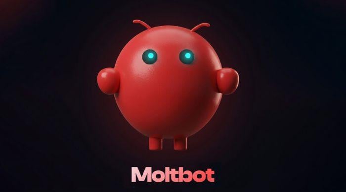 All about Moltbot (Clawdbot): AI assistant that ‘actually does things' across your PC
