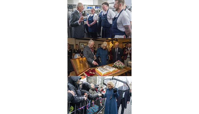 Queen Camilla scolds King Charles during cake cutting