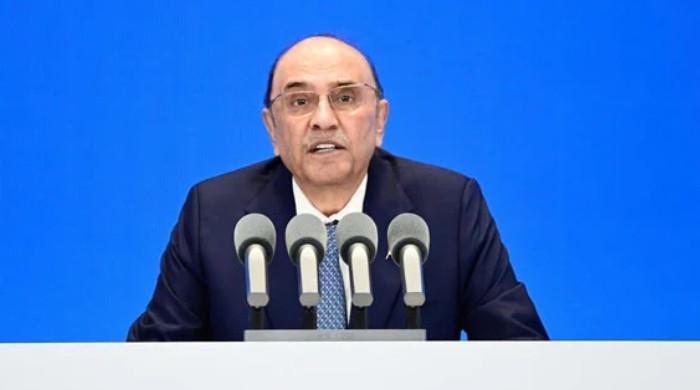 President Zardari says 'some neighbouring nations' aiding terrorists against Pakistan