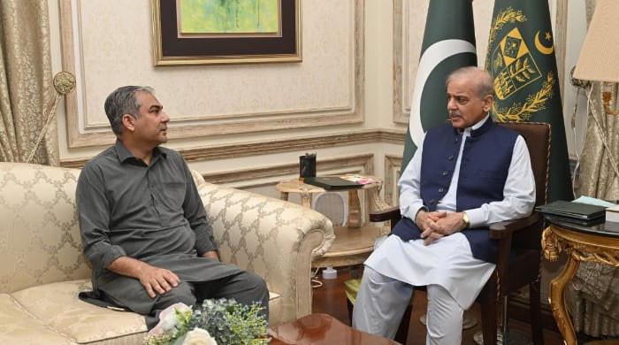 PM Shehbaz to make 'final decision' on Pak vs Ind T20 World Cup clash