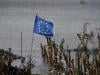 January was fifth hottest on record despite cold snap: EU monitor
