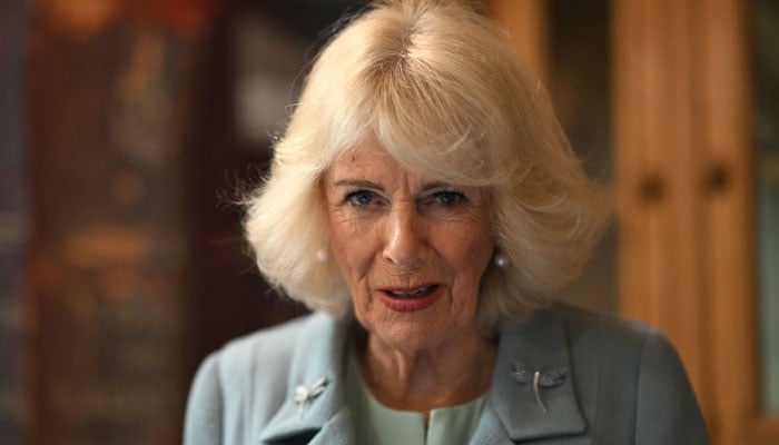 Queen Camilla steps up as senior royals give verdict on Epstein files