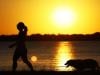 Till death do us bark: Brazilian state lets pets be buried with owners