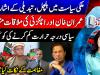 Achakzai-Imran Khan meeting likely amid political talks